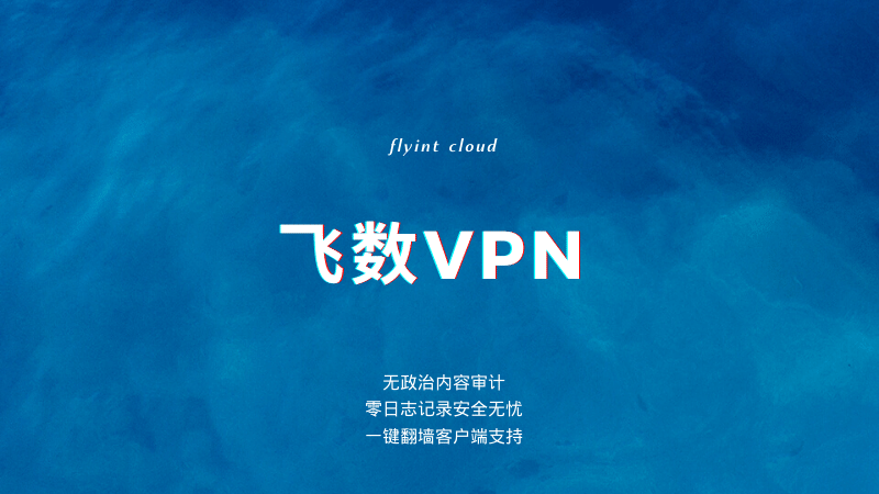 飞数VPN